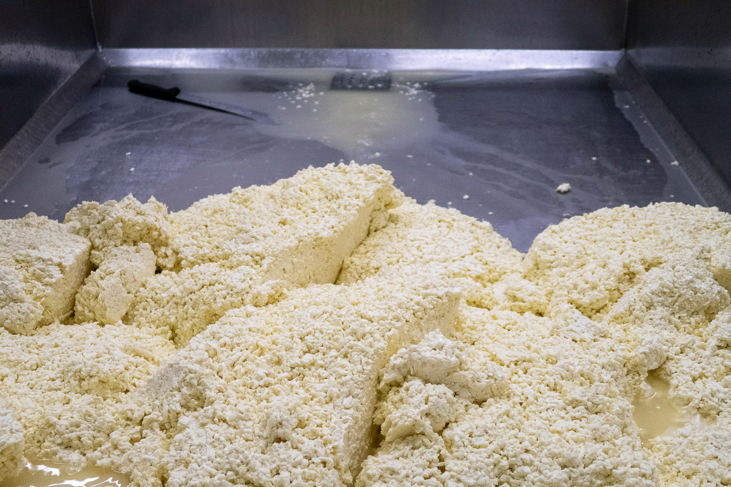 A Day Making Cheddar Cheese in Cheddar, Somerset Mondomulia