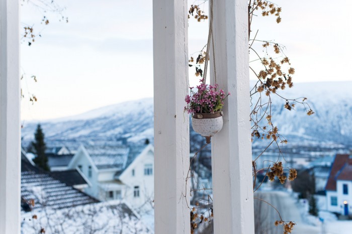 Tromso_Norway_Day2-1