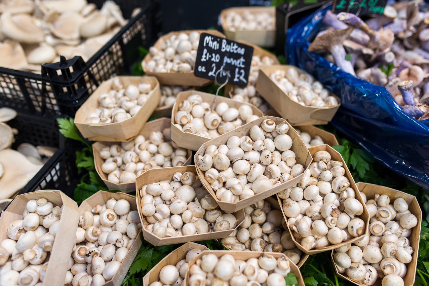 Borough-Market-London-25