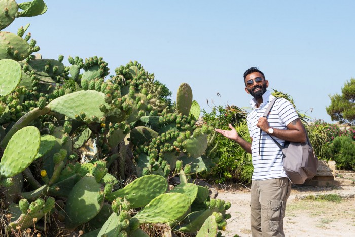 Fichi-d-India-Sicily