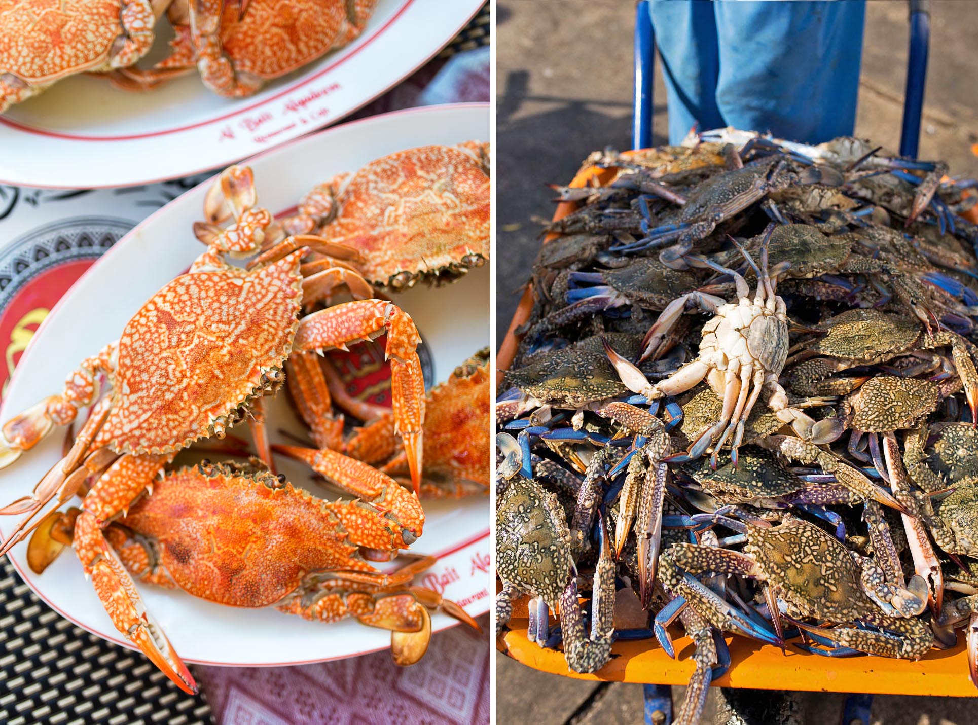 Crabs at Fish Market - Frying Pan Adventures Food Tour - Dubai