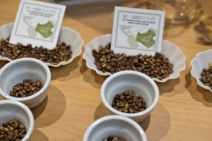 World-of-Coffee-2016-2