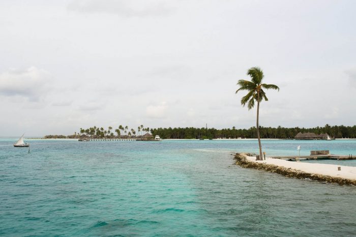 7 reasons to book a holiday to Gili Lankanfushi in the Maldives