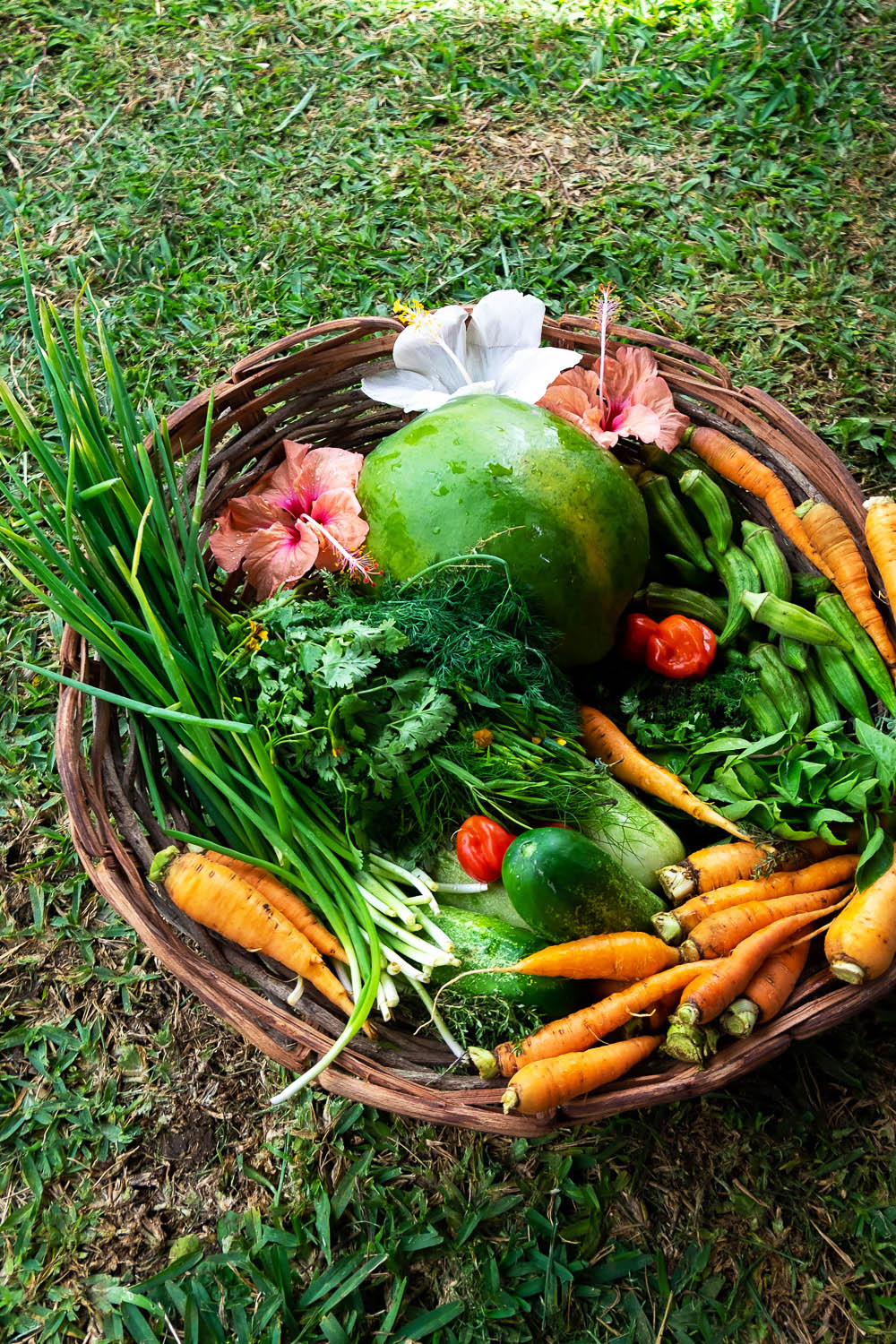 Locally sourced produce at PEG Farm | A 5-Day Itinerary of What to See and Eat around Barbados