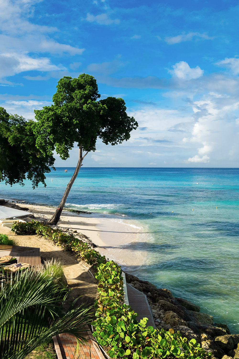 Paynes Bay | A 5-Day Itinerary of What to See and Eat around Barbados